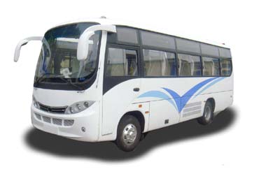 Coaches Mini + Large (Bus)